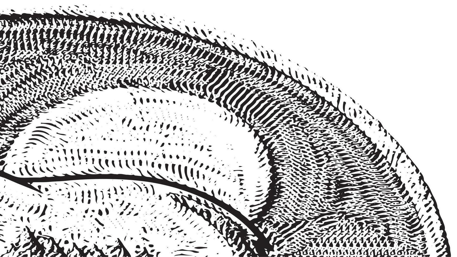 Abstract black and white grunge artwork featuring intricate spiral patterns and bold textured lines ideal for creative backgrounds modern art prints and artistic designs vector