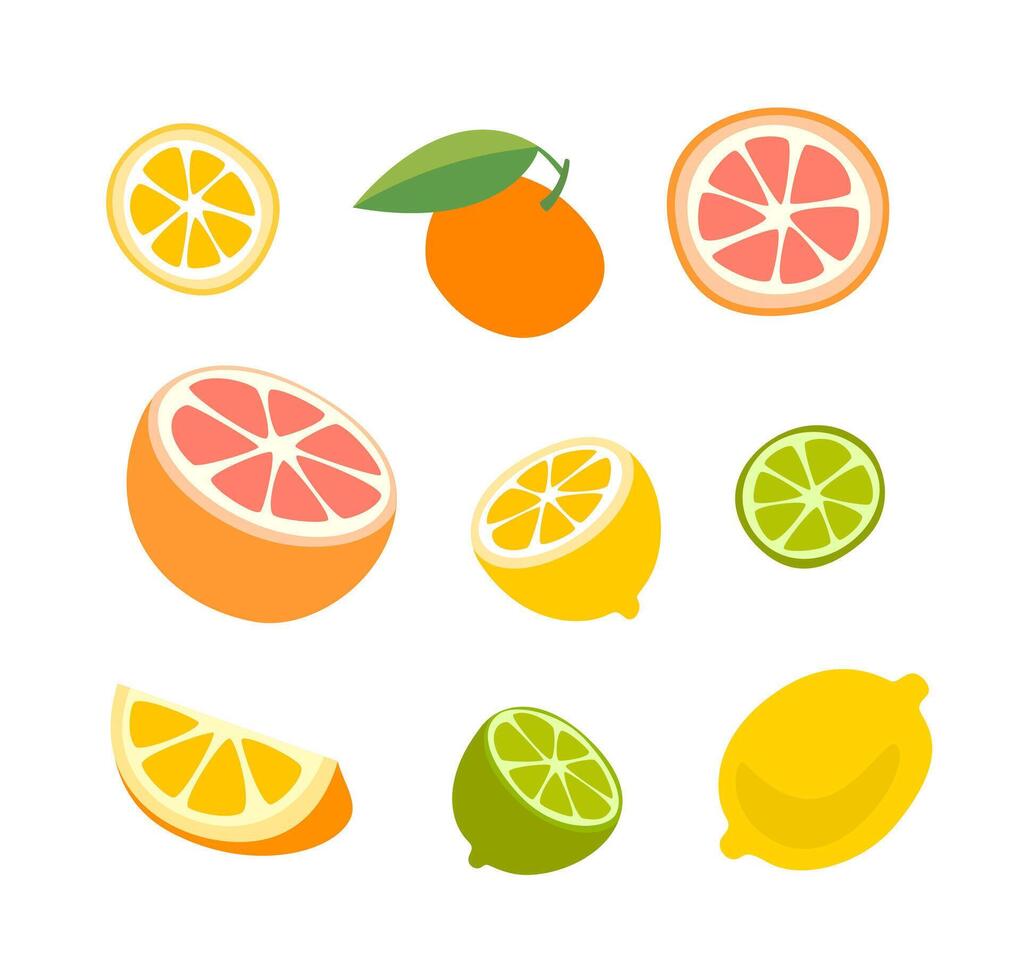 A set of citrus fruits in a flat, simple style. Grapefruit, lime, lemon, tangerine, orange vector