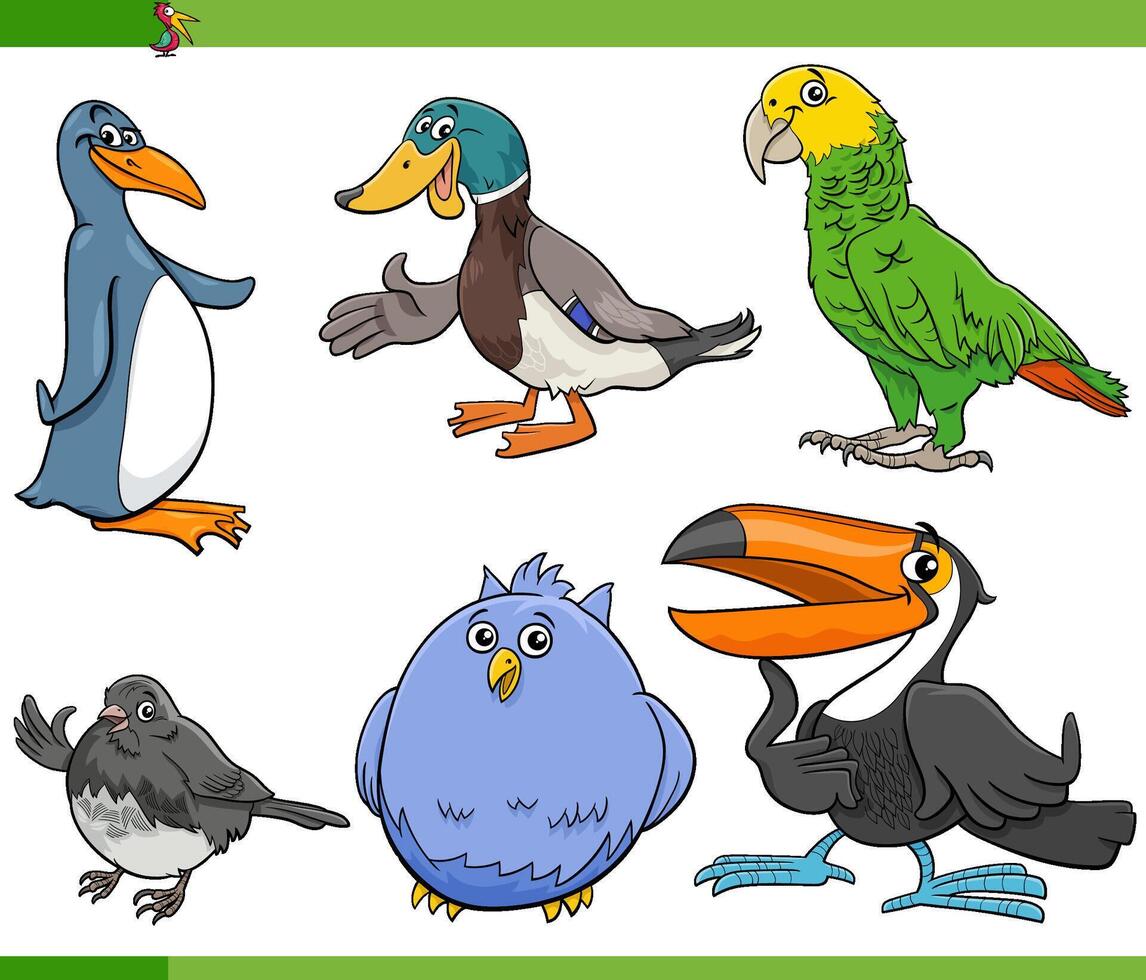 funny cartoon birds species animal characters collection vector