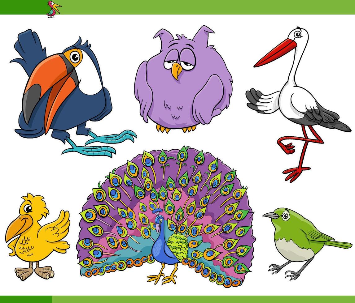 cartoon birds species animal characters collection vector