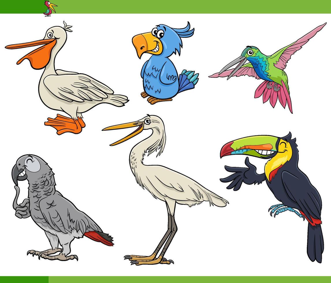 funny cartoon birds animal characters set vector