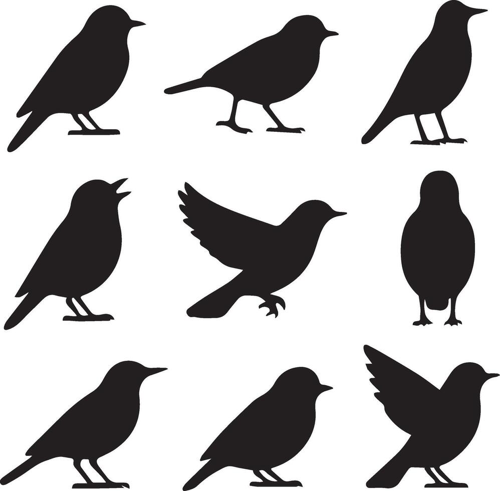 set of birds silhouettes vector