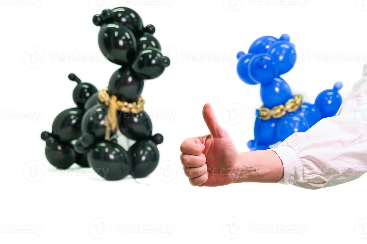 A hand is giving a thumbs up to a poodle balloon photo