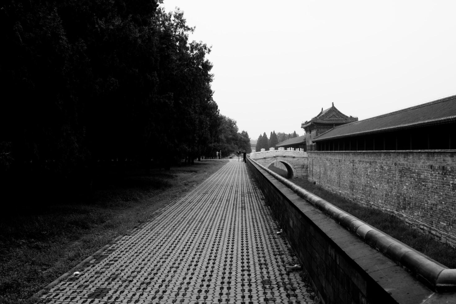 Beijing, China, 14.07.2010. A path with a brick wall on the side photo
