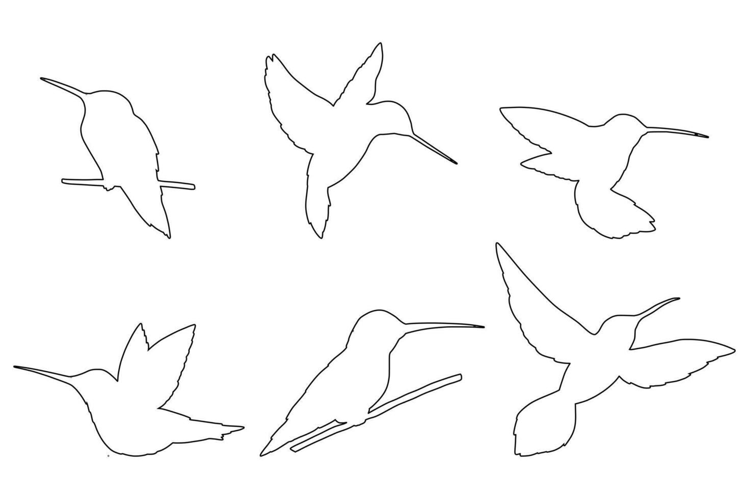 Hummingbird Icons Set Black Outline Flying Bird Design vector