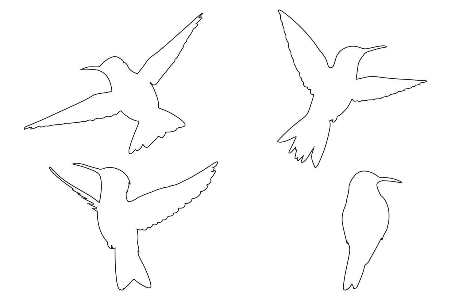 Hummingbird outline Icon Set Illustration of Flying Birds vector