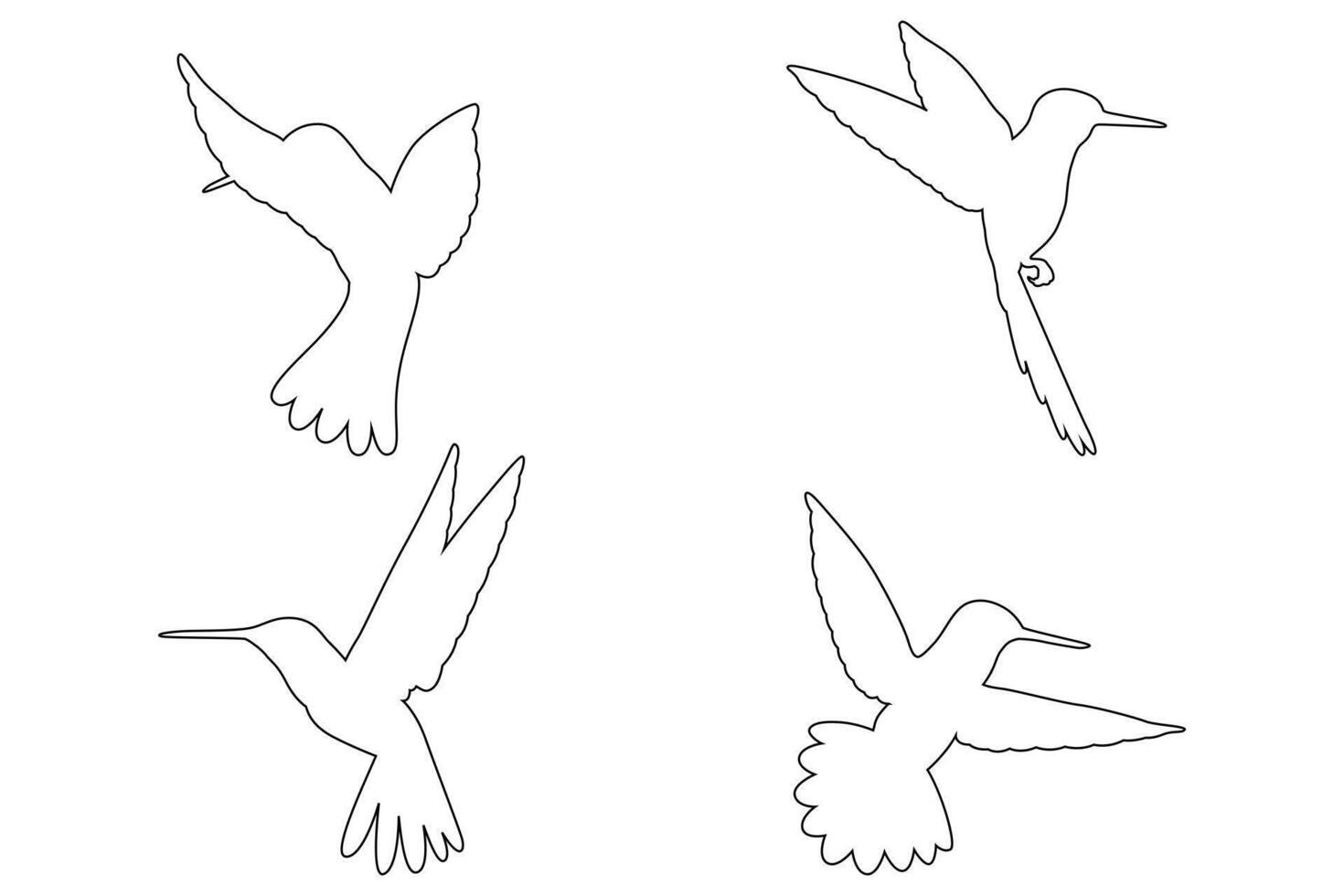 Collection of Hummingbird Black Outline Animal Icon Set vector