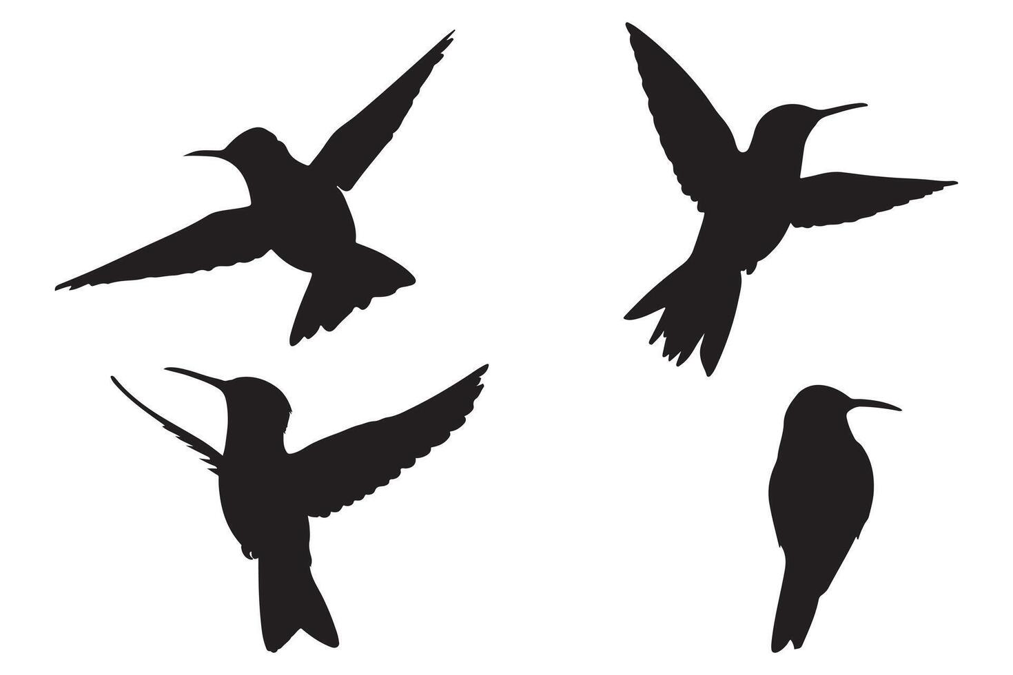 Hummingbird Silhouette Icon Set Illustration of Flying Birds vector