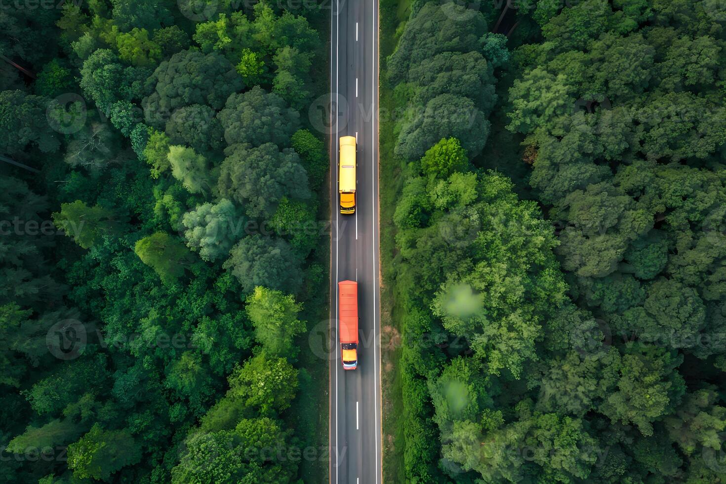 Yellow bus and orange truck driving on a road through green forest photo