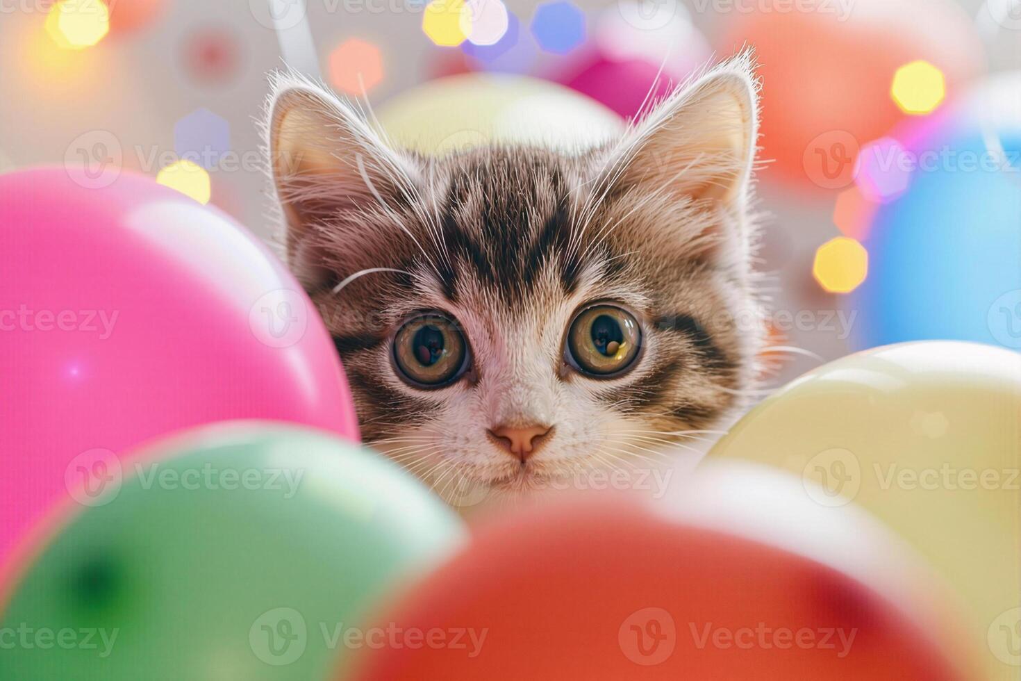 Cute kitten hiding behind colorful balloons and festive lights photo