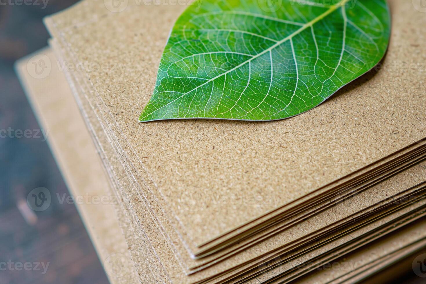 Green leaf resting on stack of sustainable fiberboard panels photo