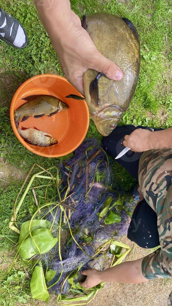 Men clean the net with a knife and watch their Big Catch of Carp Fish photo