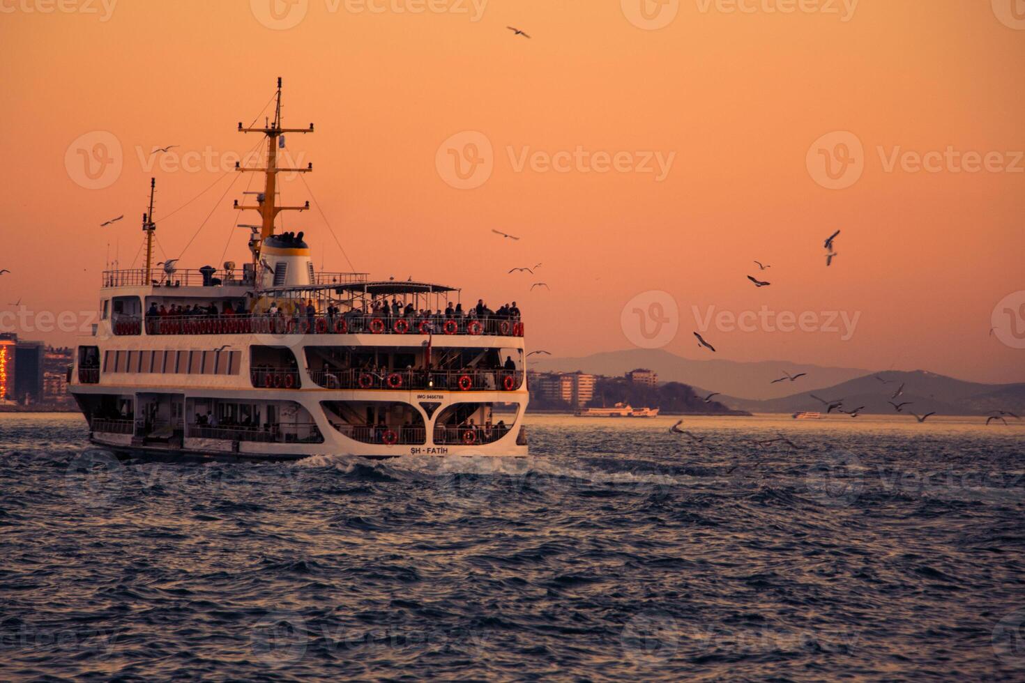 ferry sailing at sunset with seagulls flying over it photo