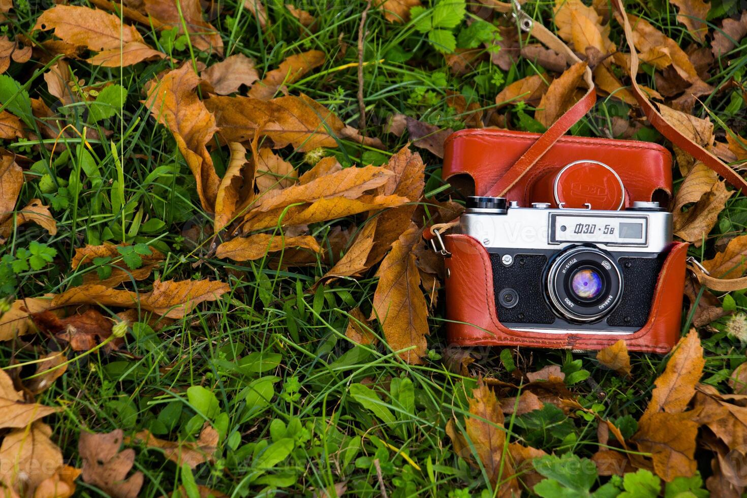 Retro camera among dried leaves in autumn photo