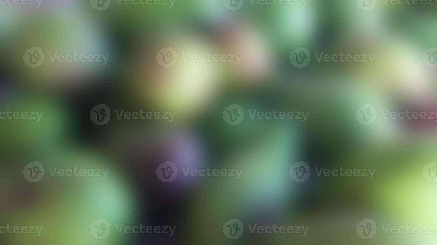Abstract Green Blurred Pattern photo