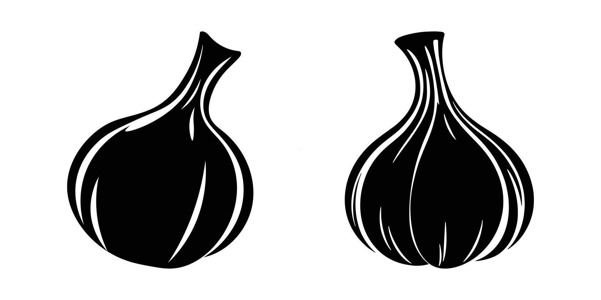 Black garlic illustration design banner. vector