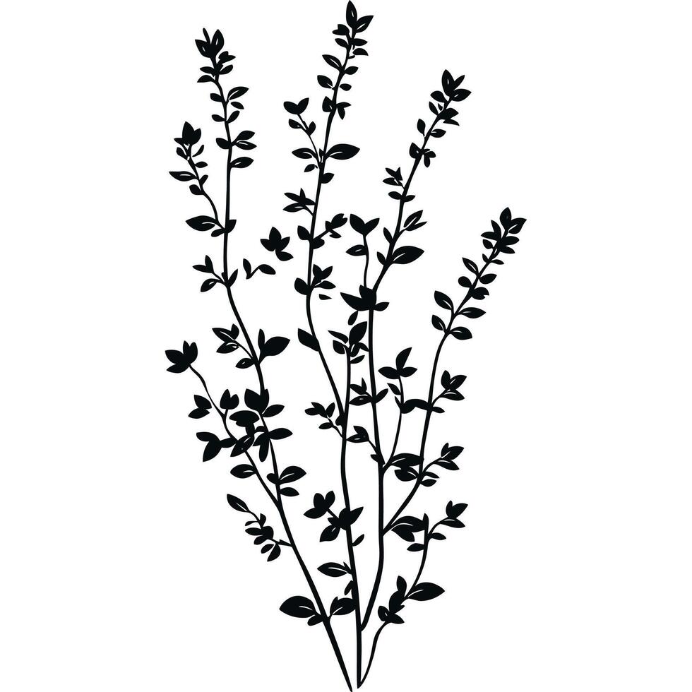Black and white drawing of a plant with a few leaves vector
