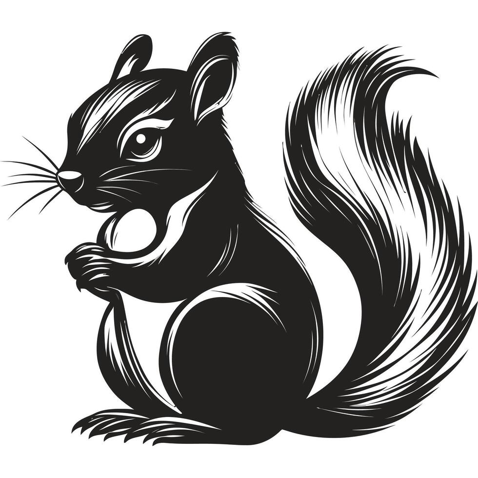 Black squirrel is sitting on a white background vector