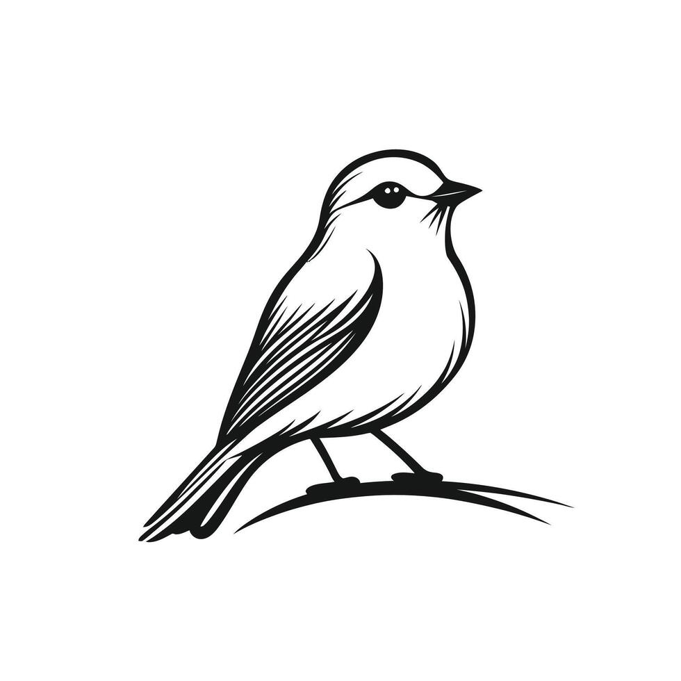 Black and white drawing of a bird perched on a branch vector