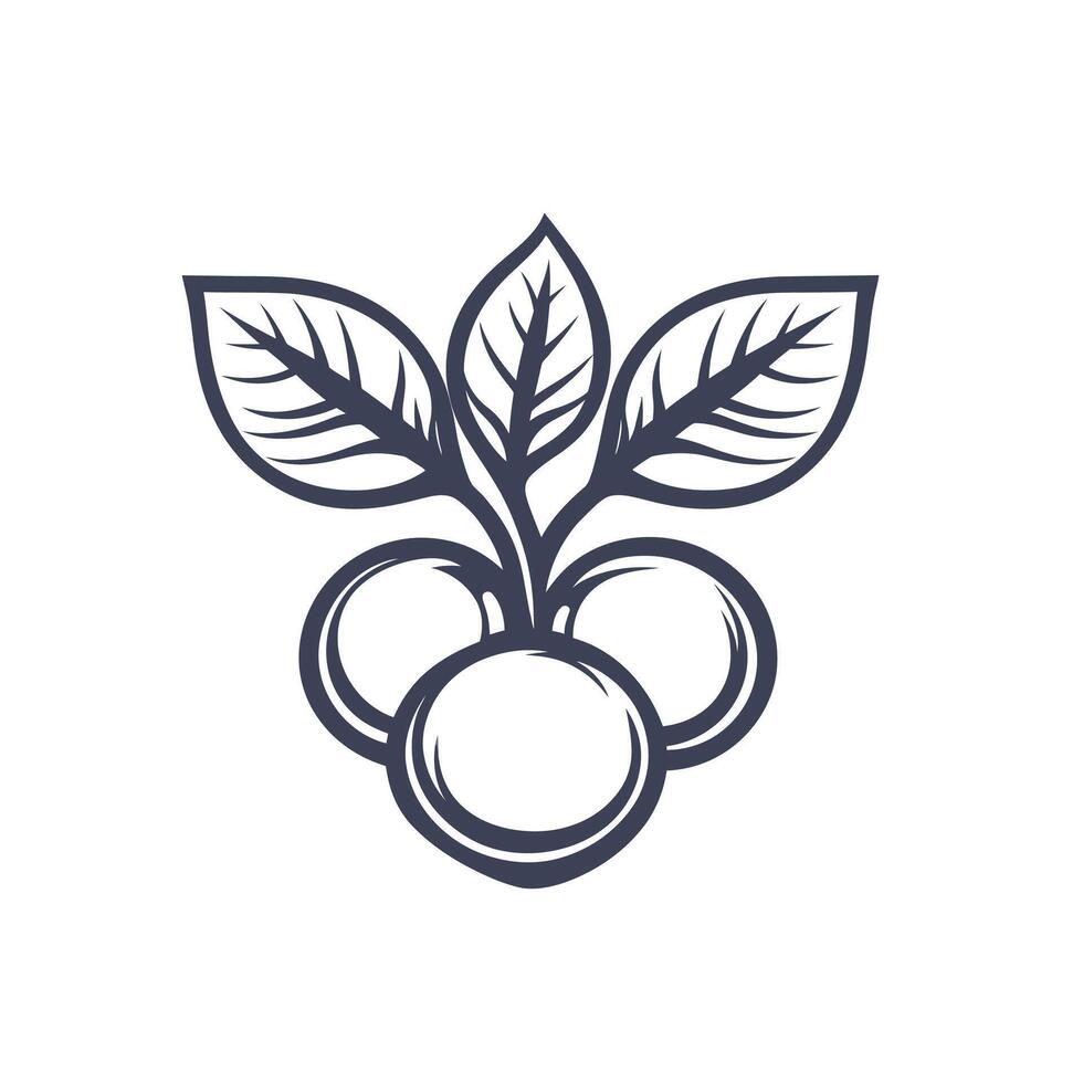 Leafy green plant with three small round fruits vector
