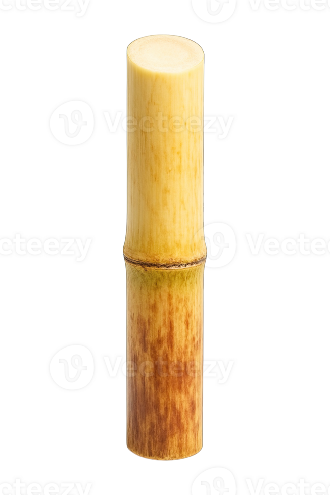 Realistic Sugarcane Stem Cut Section Flat Lay Isolated on Transparent Background, png