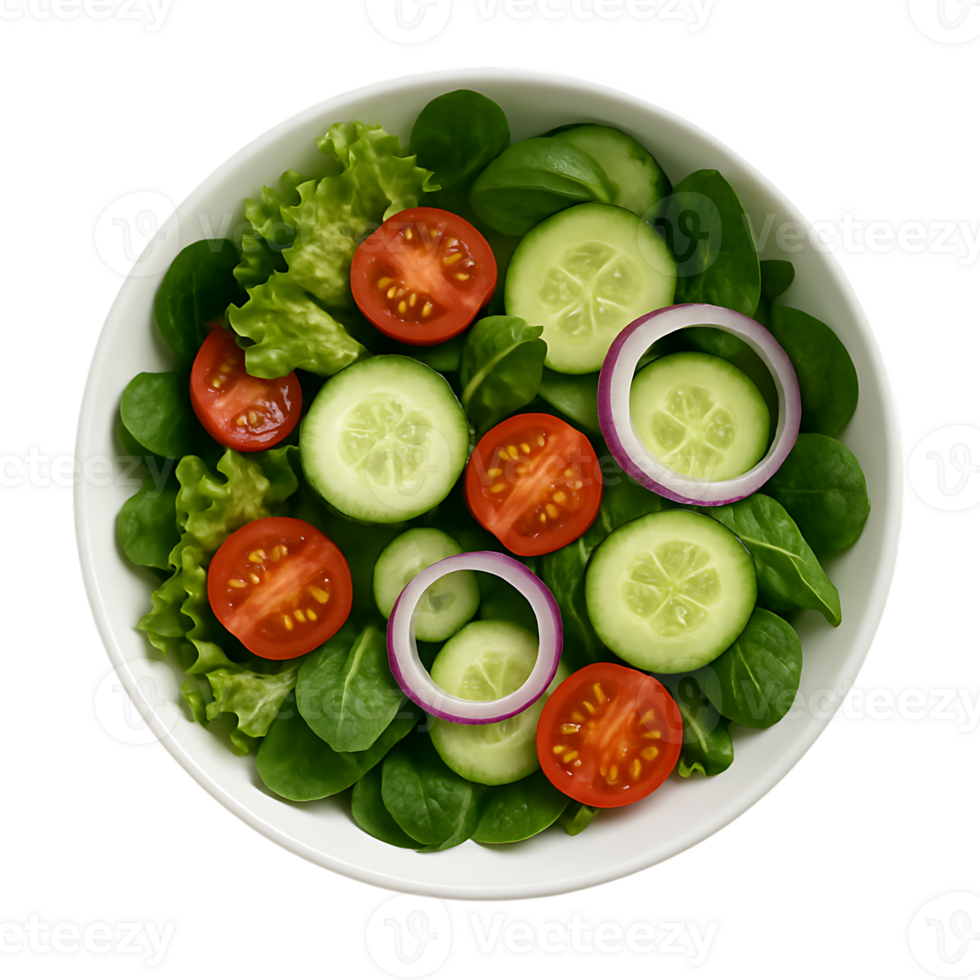 Fresh salad with tomatoes cucumber and onion on plate. png
