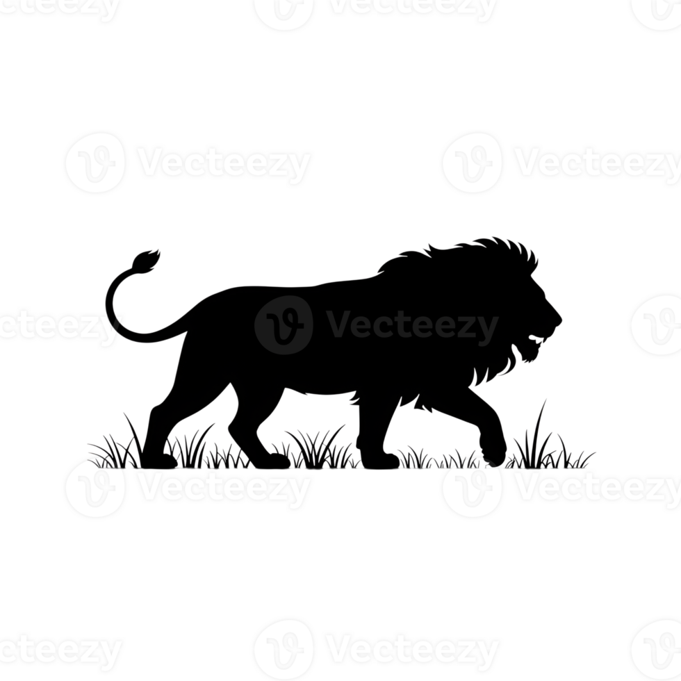 Lion silhouette walking through grass, side view, isolated on a simple background png