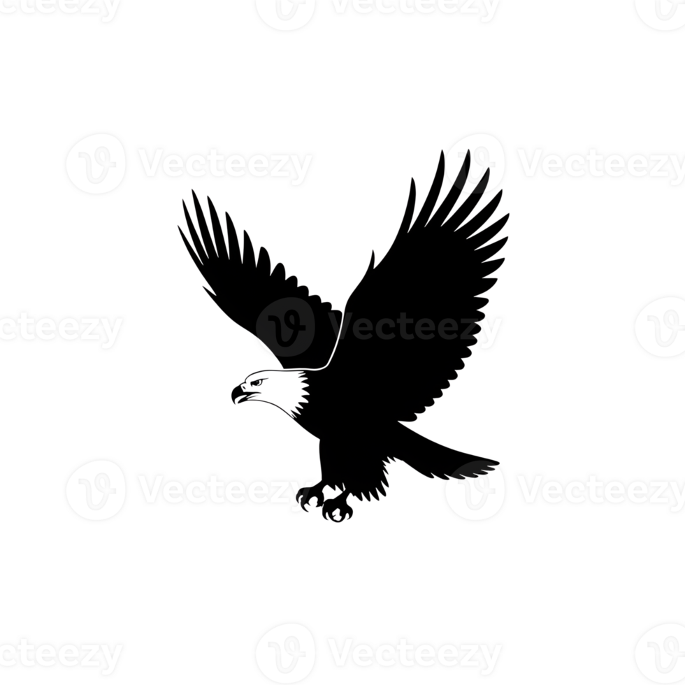 Eagle illustration featuring a bird in flight with spread wings and sharp talons png
