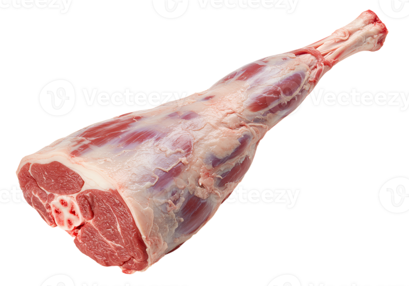 Raw lamb leg isolated, fresh meat cut ready for cooking and culinary preparation png