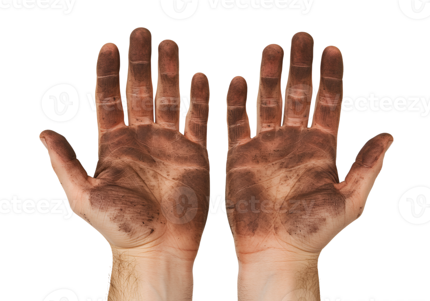 Dirty hands reaching up with soil on the palms and fingers, isolated shot png