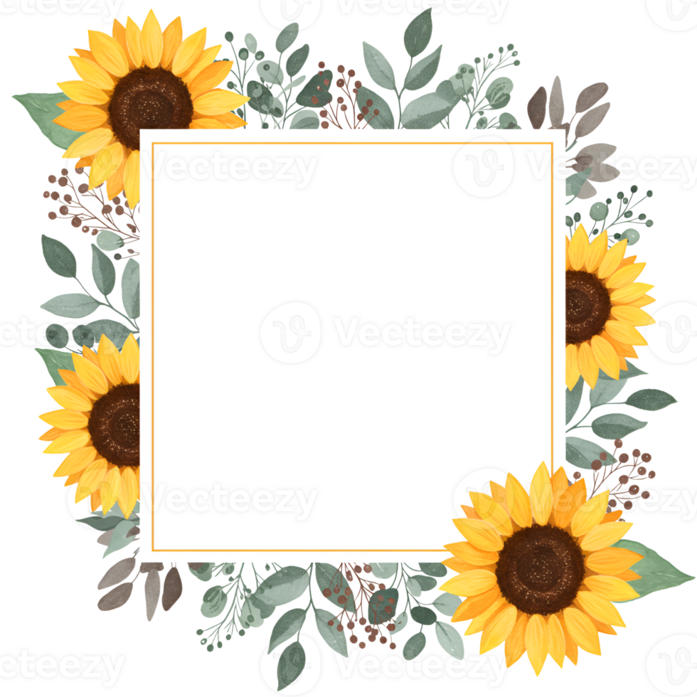 Sunflower frame with leaves and berries, square white space for text or image png