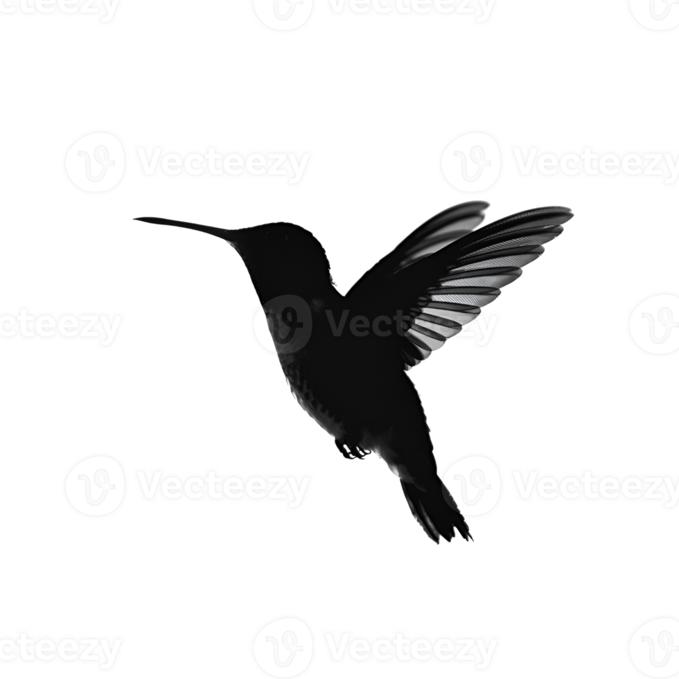 Hummingbird silhouette in flight with wings spread, monochrome, avian wildlife png