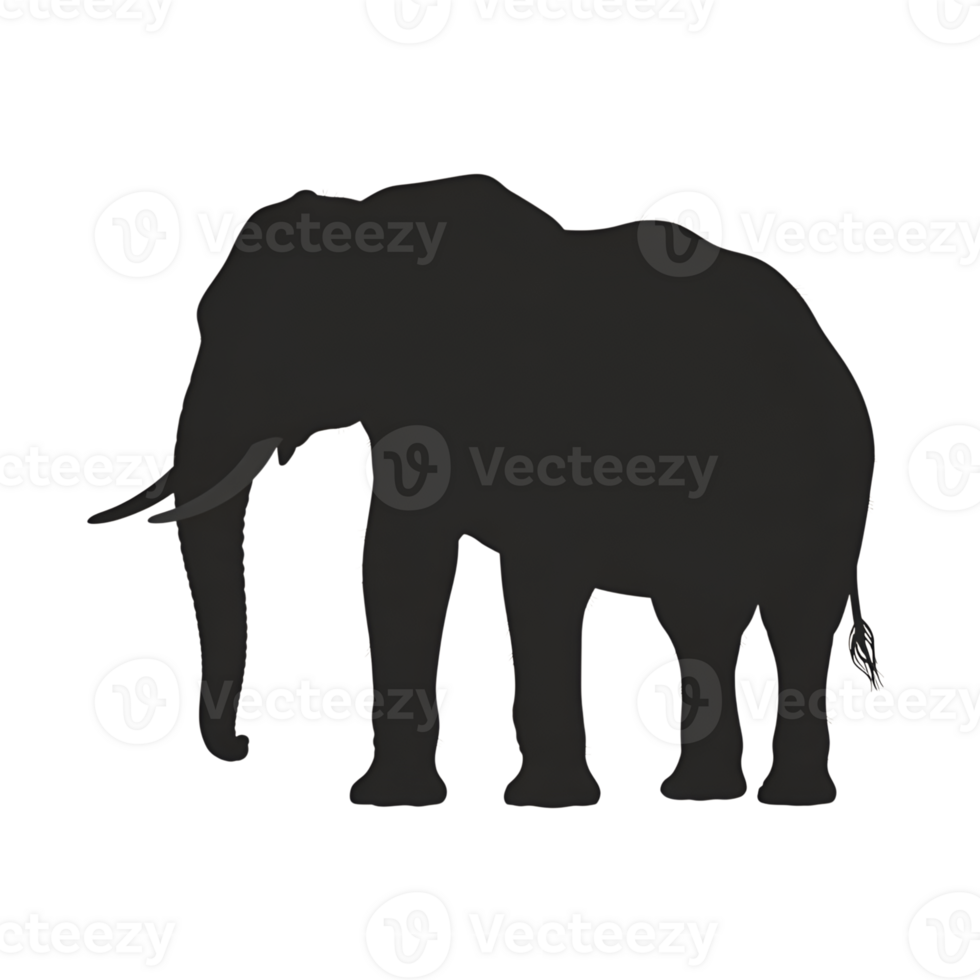 Elephant silhouette standing isolated in profile on a transparent field png