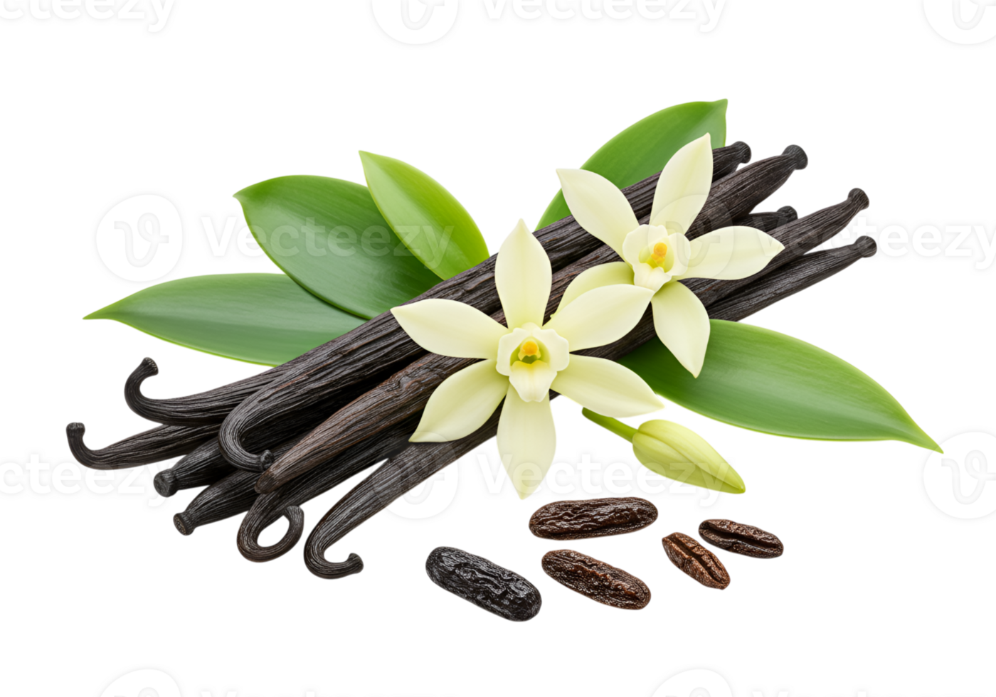 Vanilla beans and flowers with green leaves on a plane surface, close up shot png