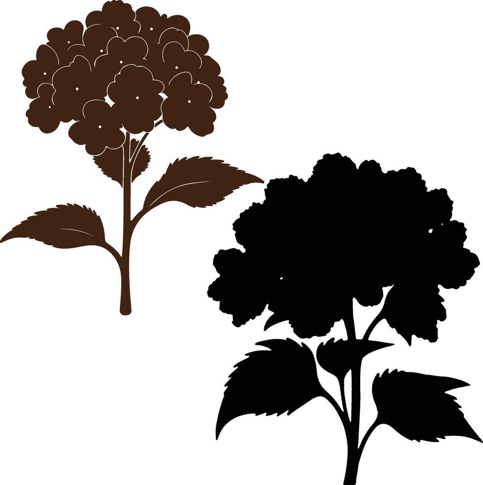 Elegant Hydrangea Flower Silhouette Illustration on Light Gray Background vector