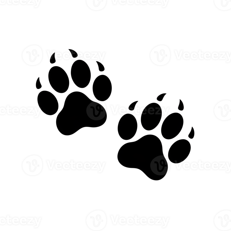 Paw prints, two animal footprints, bear claws, isolated design element, mammal foot, silhouette, pet png