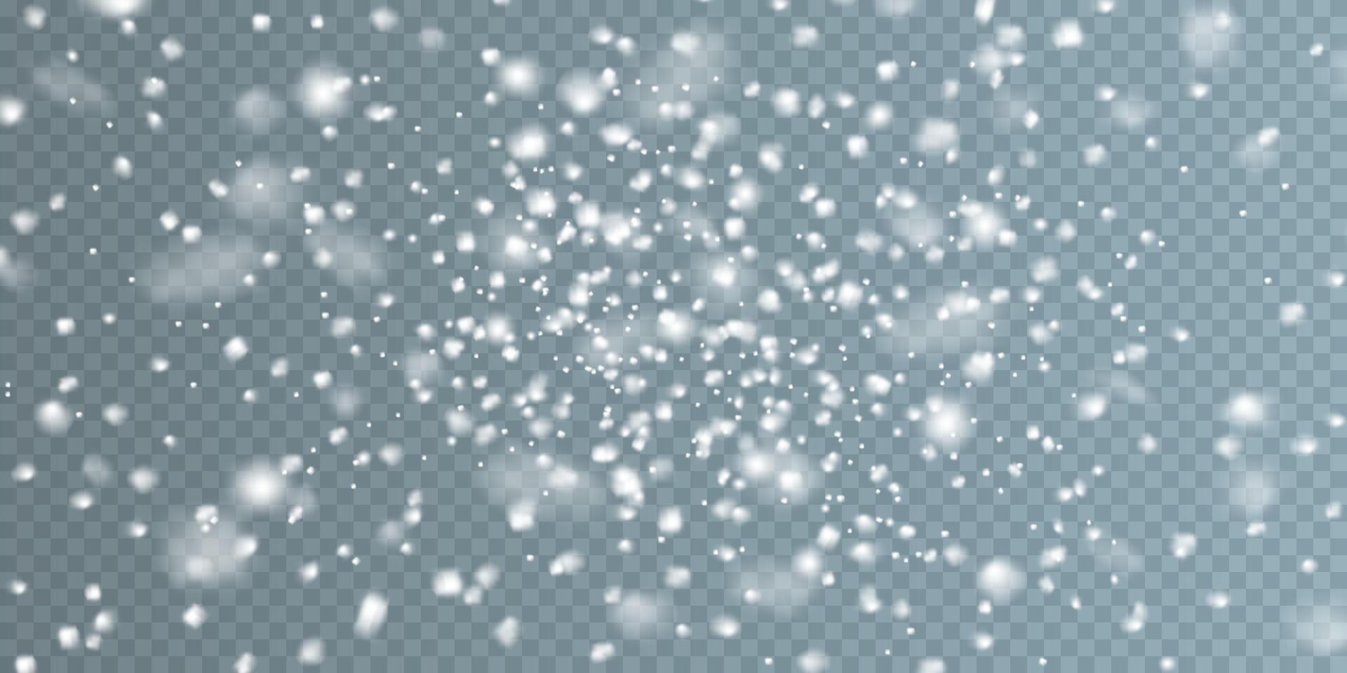 Experience the enchanting Beautiful Snowfall Effect with Soft Blurry Snowflakes gracefully dancing on a Cool Background vector