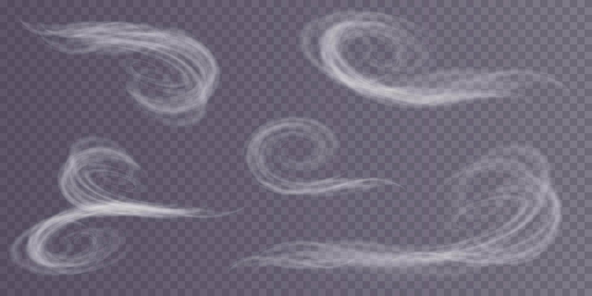 Effects of a Winter Blizzard Swirling Winds and Snow Creating a Unique Atmosphere and Aesthetic Environment vector