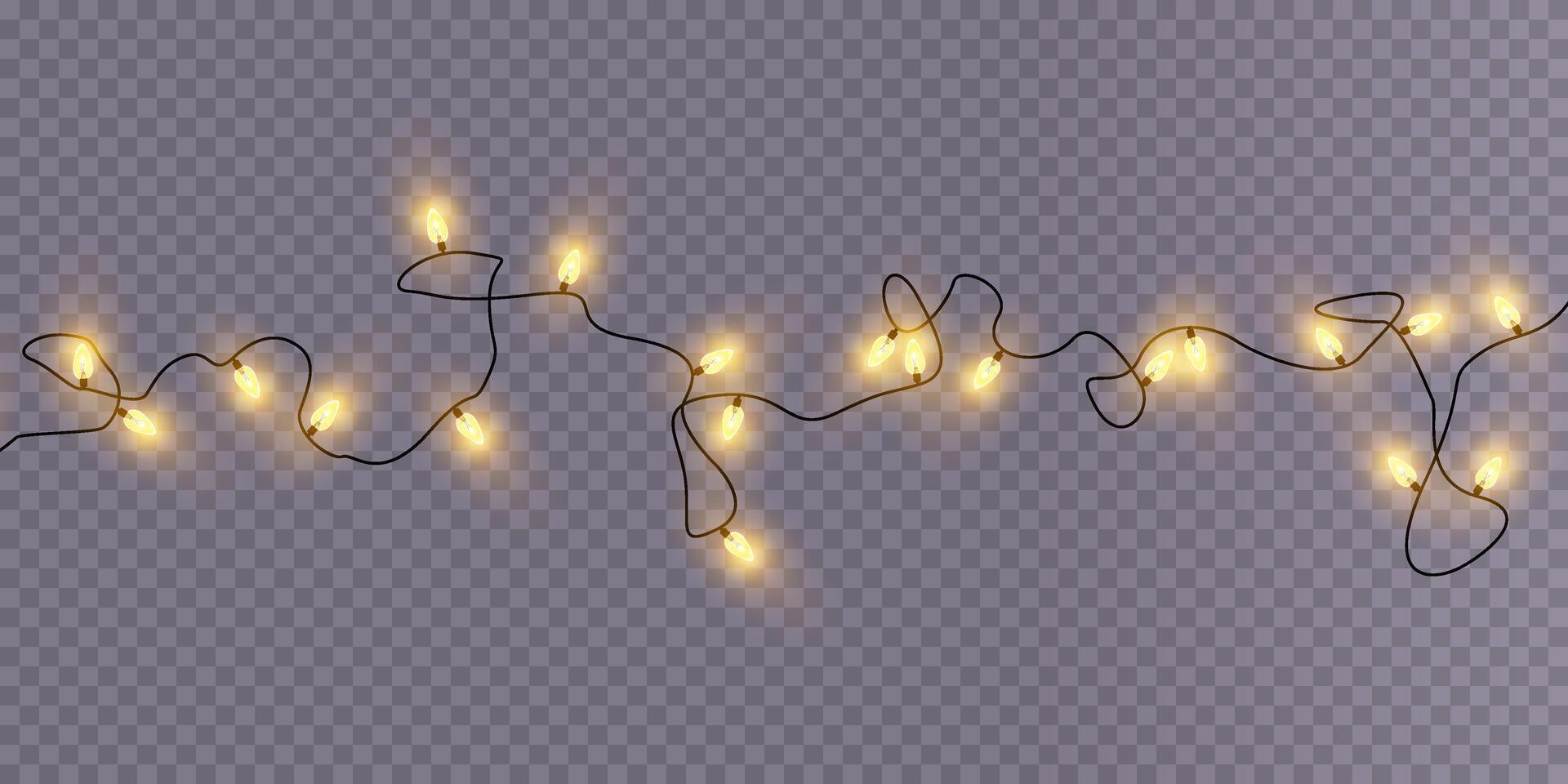 Beautiful Decorative String Lights Perfect for Enhancing Event Decoration and Creating a Cozy Ambiance vector