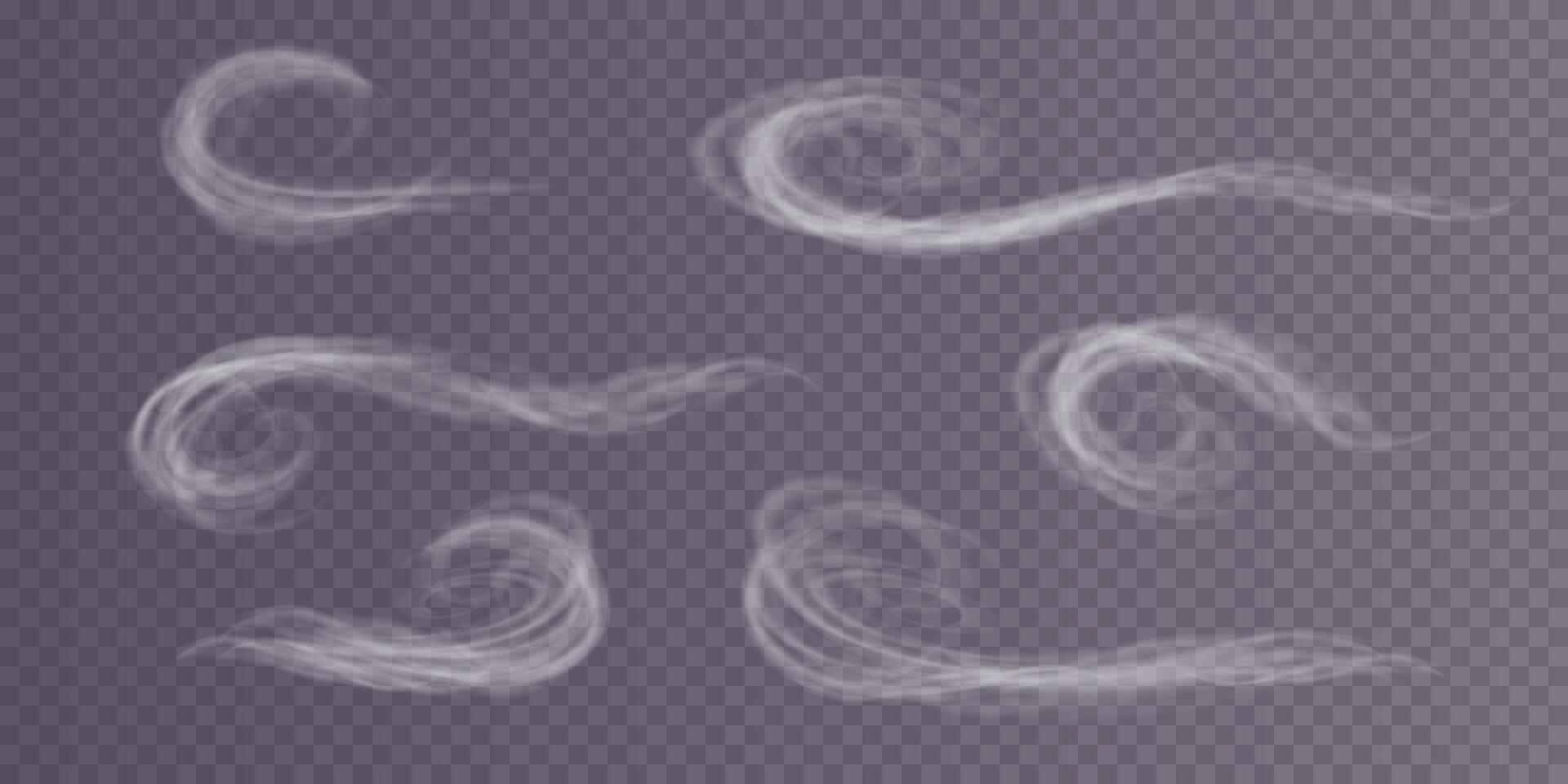 A Winter Blizzard Displaying Beautiful, Swirling Patterns of Snowflakes and Soft, Chilly Wind Effects vector