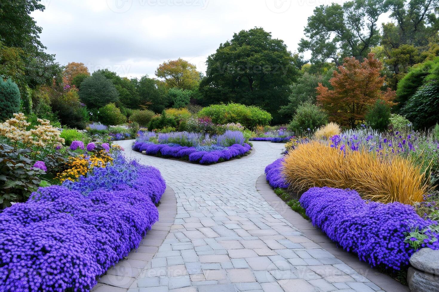 Winding path splitting blooming purple flowers in a colorful public garden photo