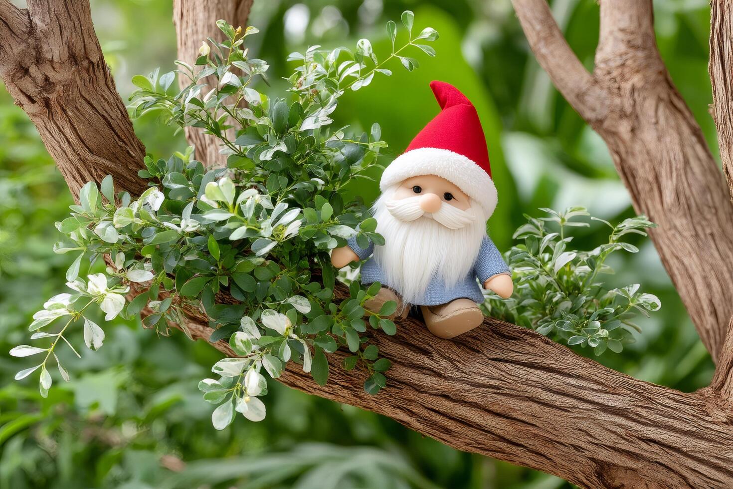 Christmas gnome sitting on tree branch enjoying nature photo