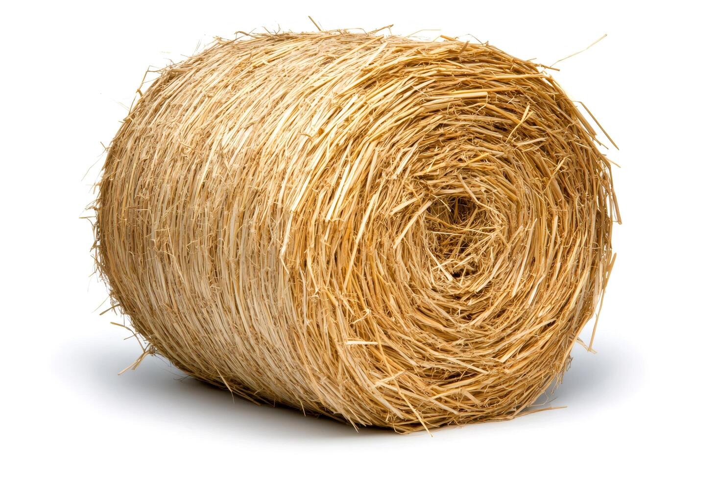 Round bale of hay isolated on white background is waiting to be used photo