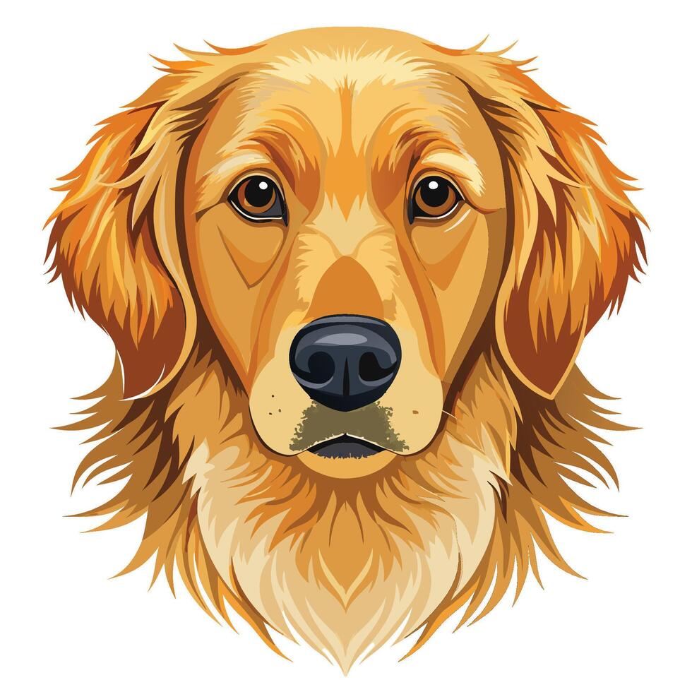 golden retriever dog head white background illustration vector