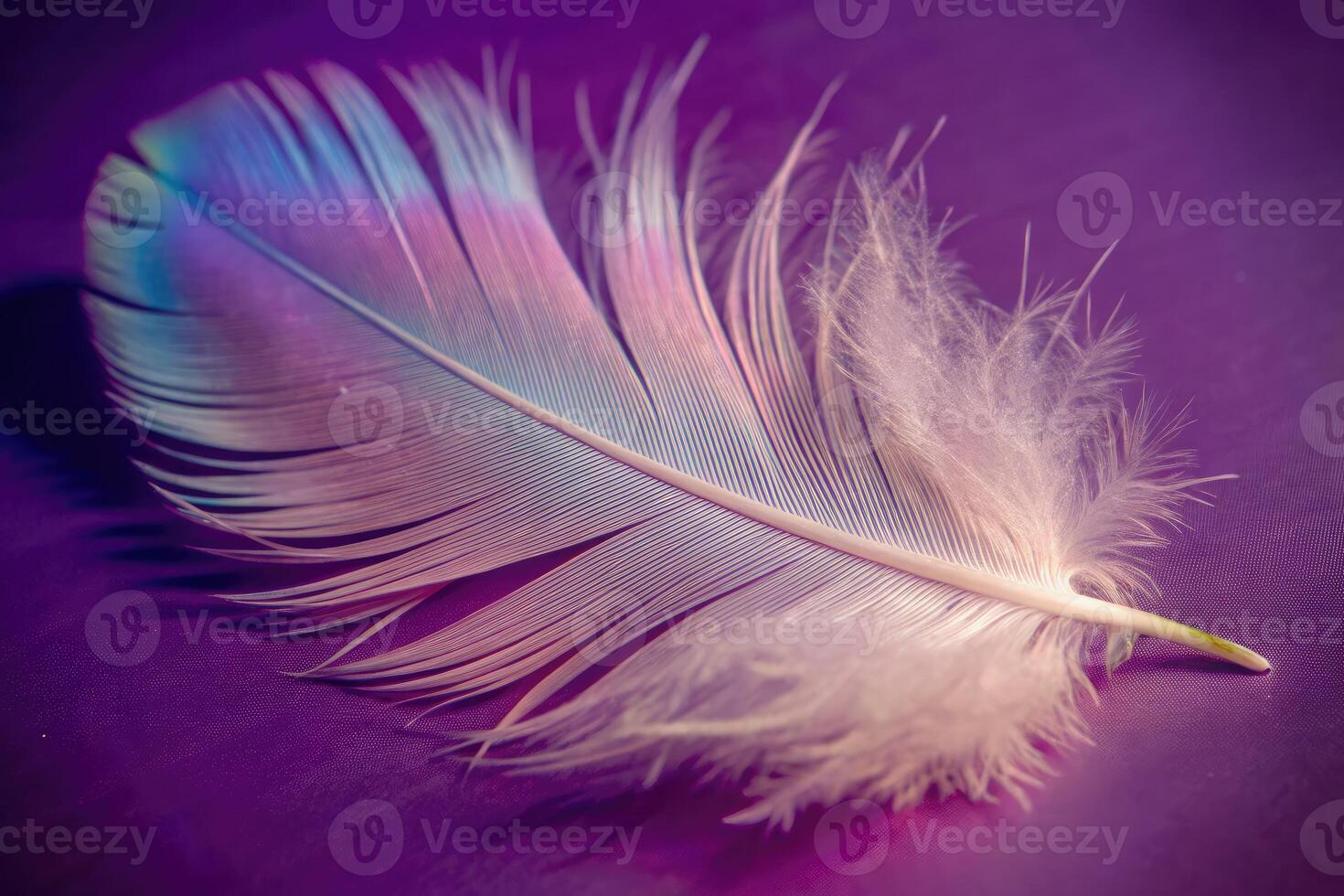 Delicate feather resting on a purple background. photo