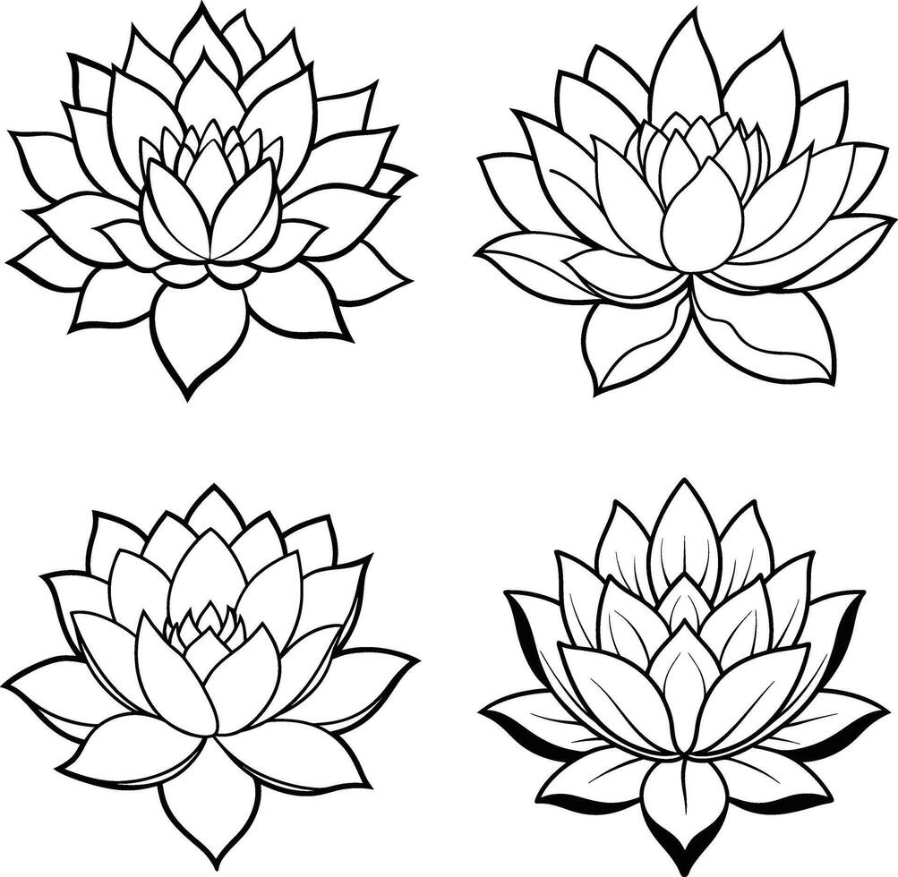 Collection of outlined lotus flowers botanical illustration for coloring or design element vector