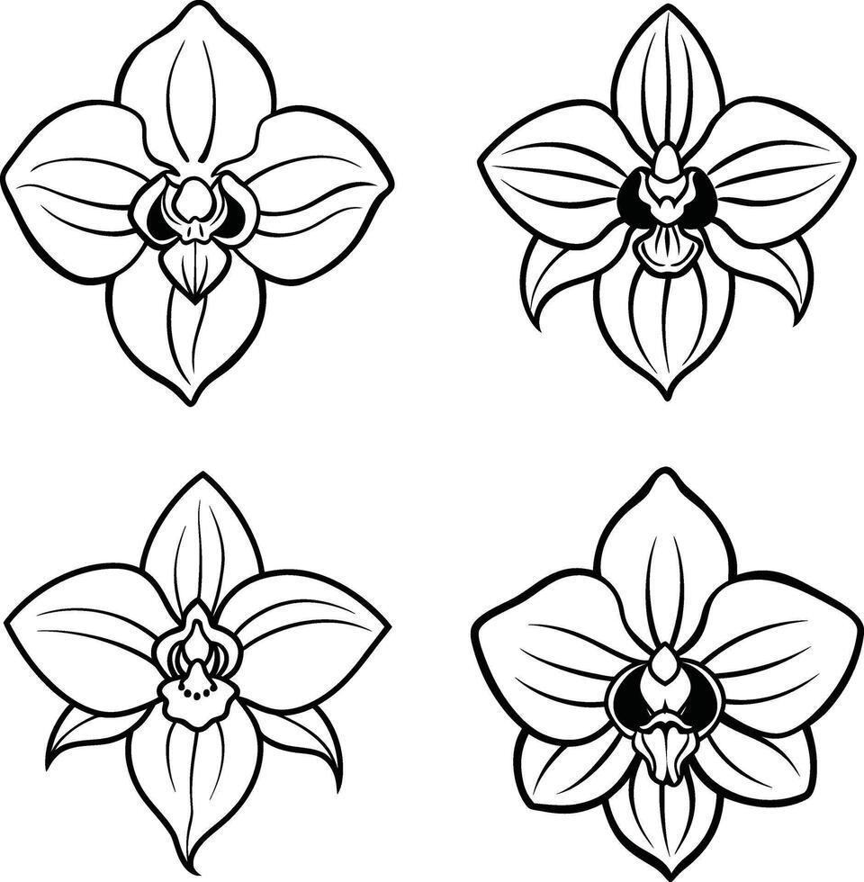 Orchid flower outlines collection artistic floral design elements vector