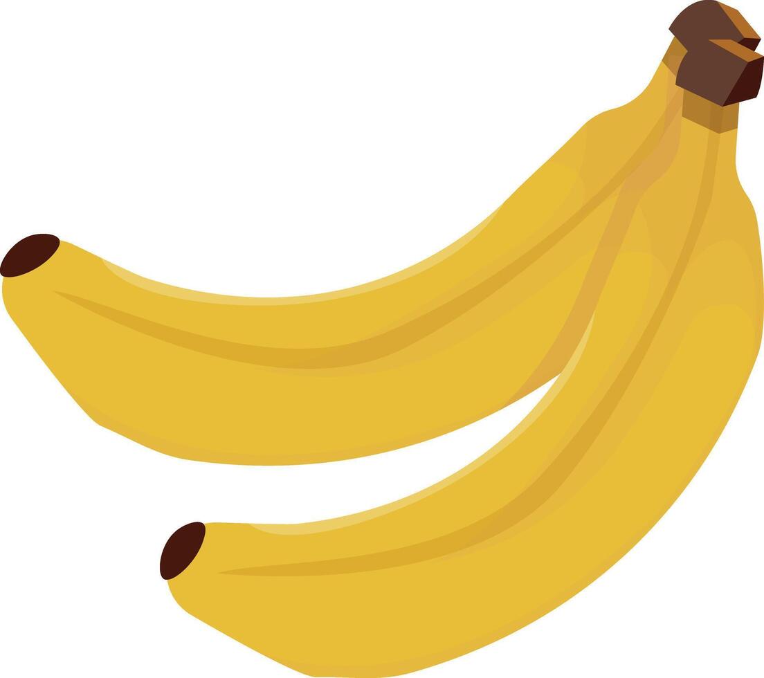 Two Piece Banana vector