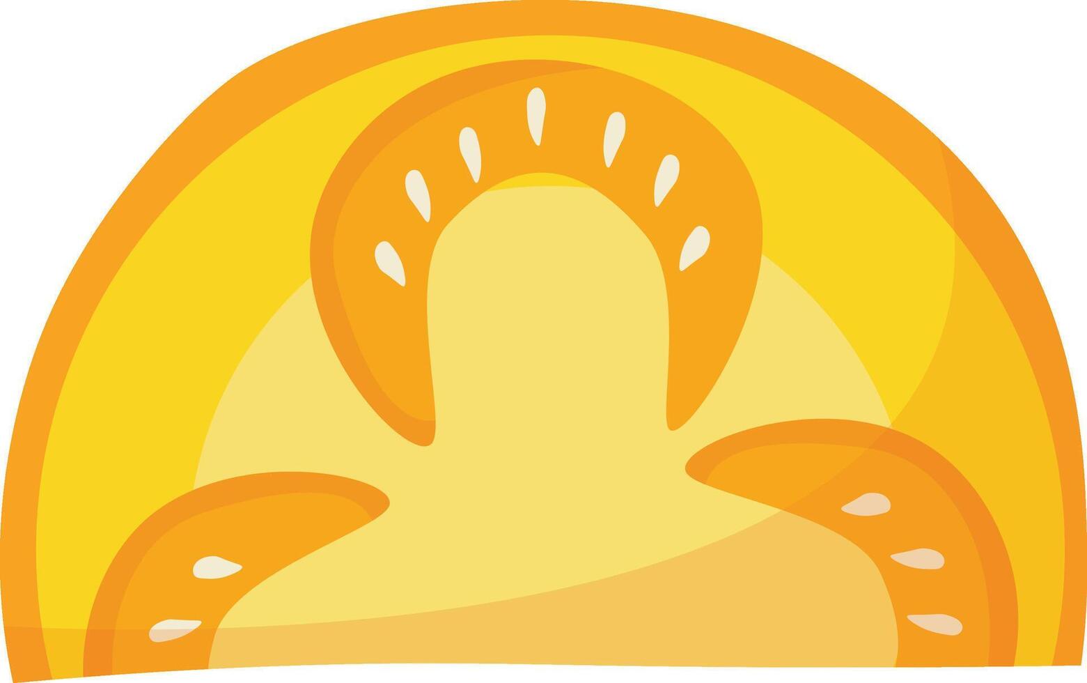 Sliced Yellow Tomato vector