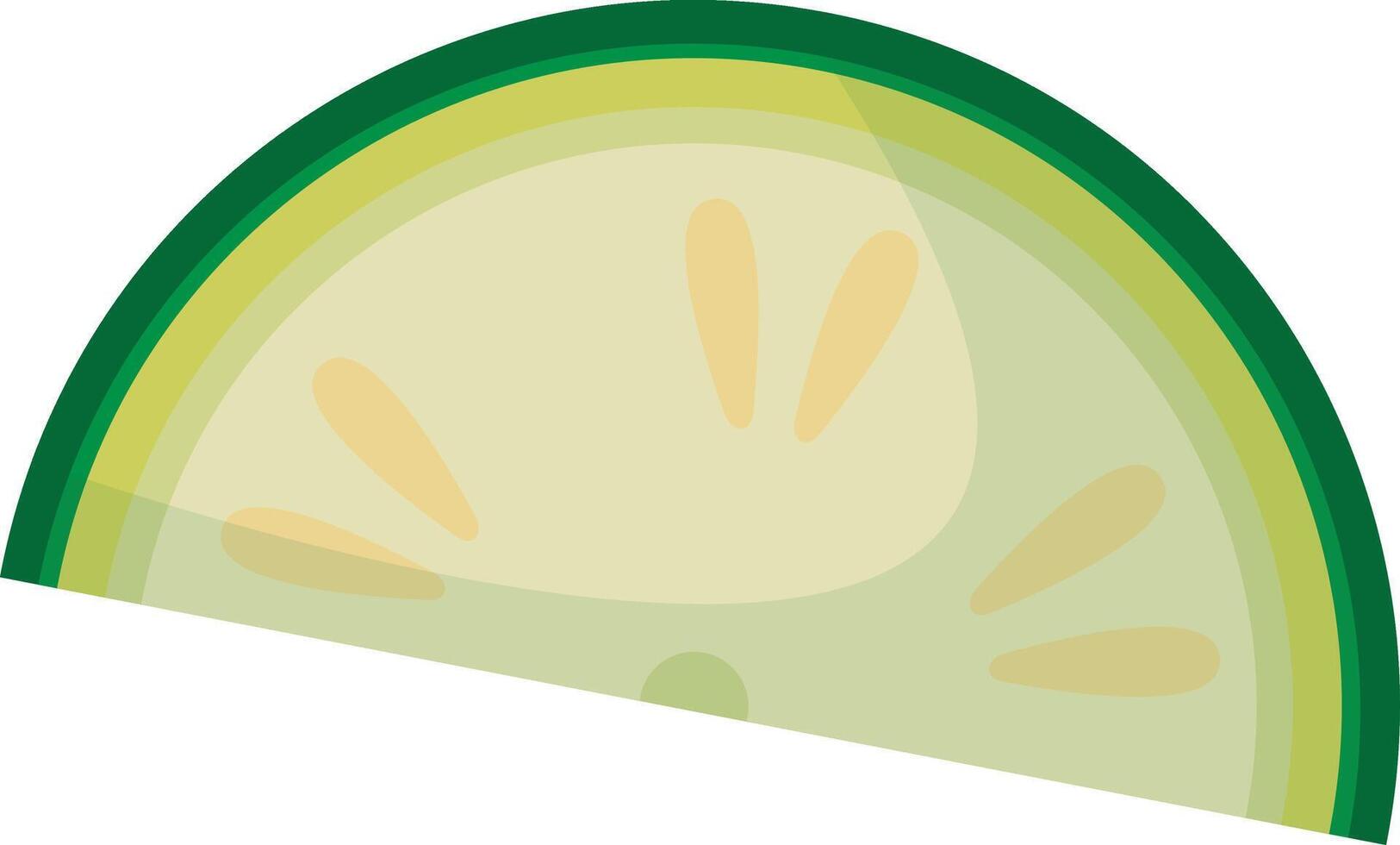 Green Cucumber Slice vector